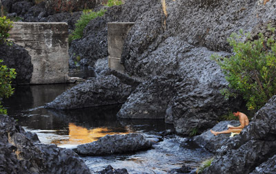 divergent dam